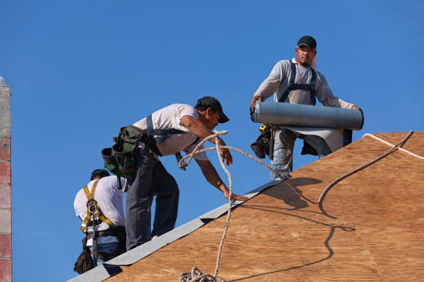 Best Sealant for Roof  in Broadmoor, CA
