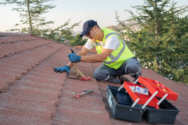 Best Sealant for Roof  in Broadmoor, CA