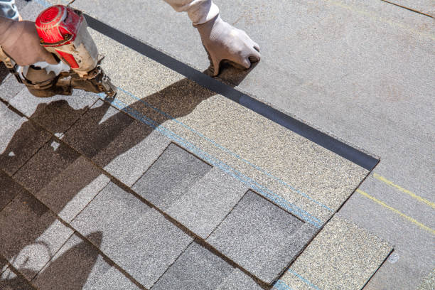 Best Roof Gutter Cleaning  in Broadmoor, CA